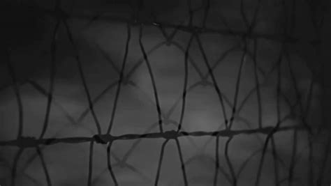 citizen kane : Free Download, Borrow, and Streaming : Internet .